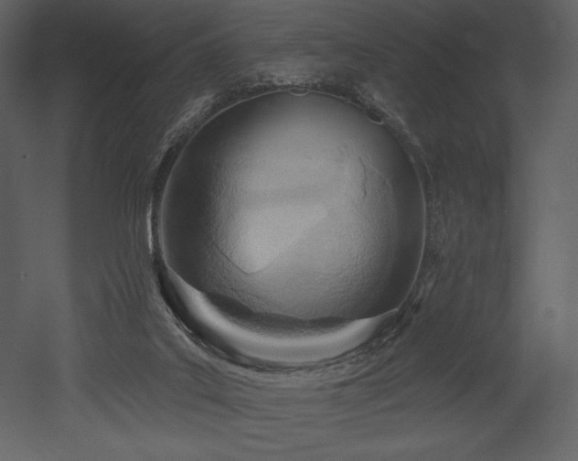 X0000053000019200507081245