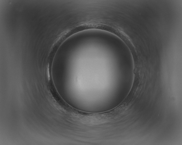 X0000053000020200507081245