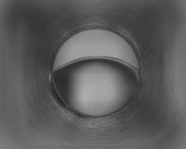 X0000053000021200507081245