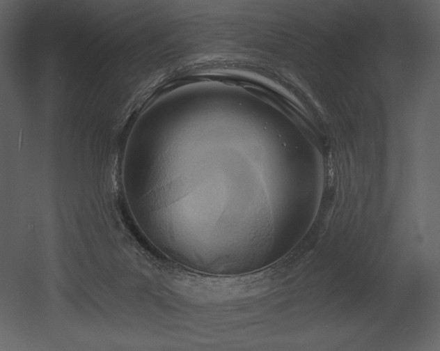 X0000053000023200507081245
