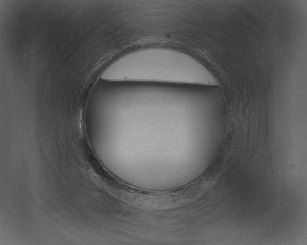 X0000053000024200507081245