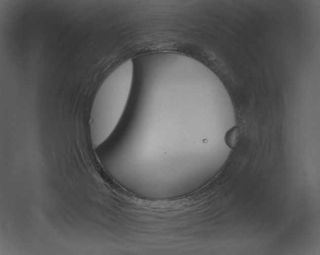 X0000053000026200507081245