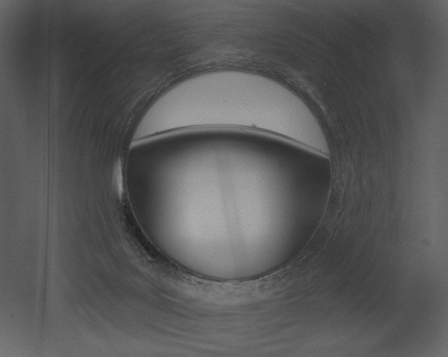 X0000053000027200507081245