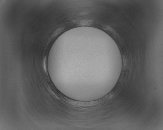 X0000053000028200507081245