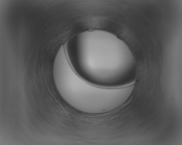X0000053000029200507081245