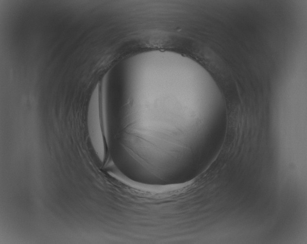 X0000053000031200507081245