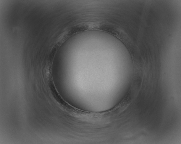 X0000053000032200507081245