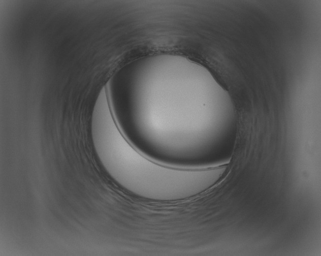 X0000053000033200507081245