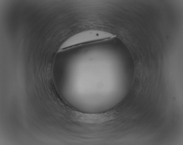 X0000053000034200507081245