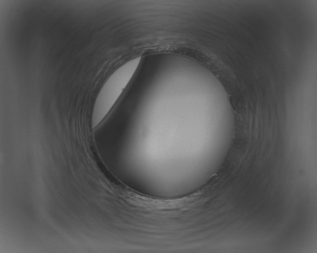X0000053000035200507081245
