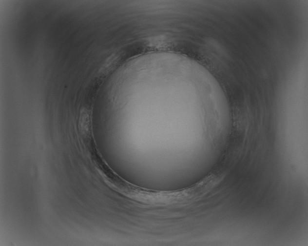 X0000053000036200507081245