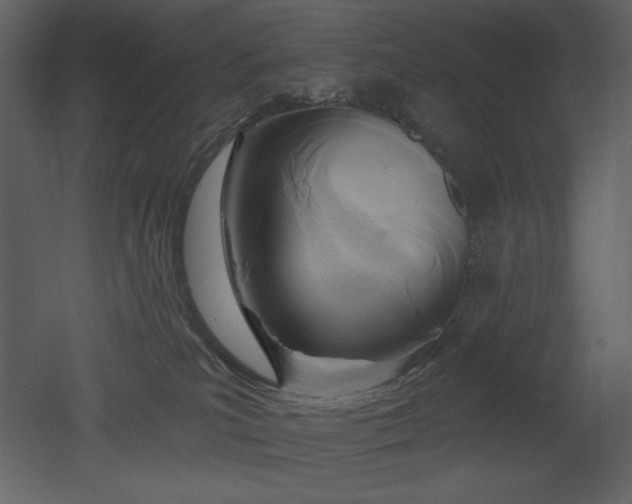 X0000053000039200507081245
