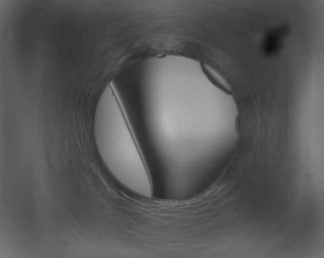 X0000053000040200507081245