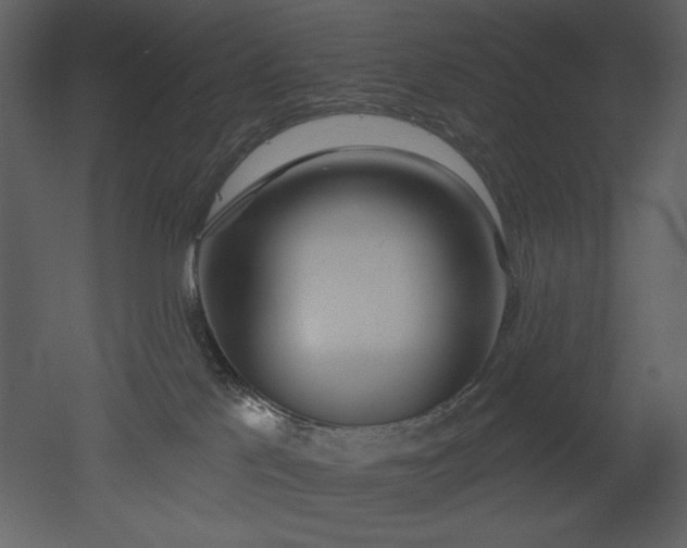 X0000053000041200507081245