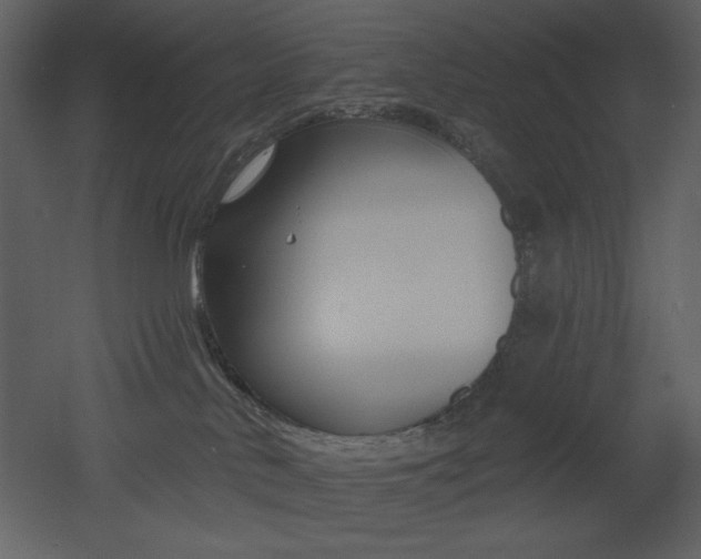 X0000053000042200507081245