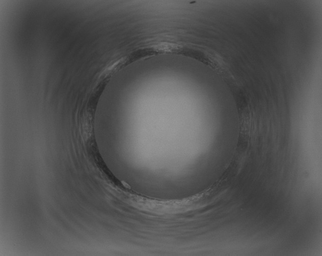 X0000053000043200507081245