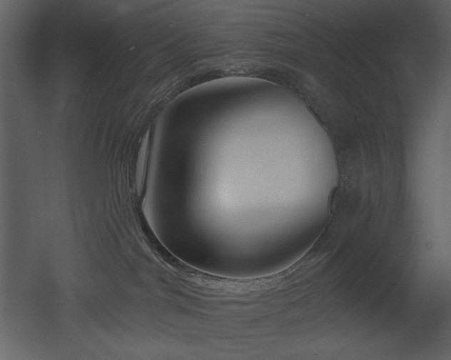 X0000053000044200507081245