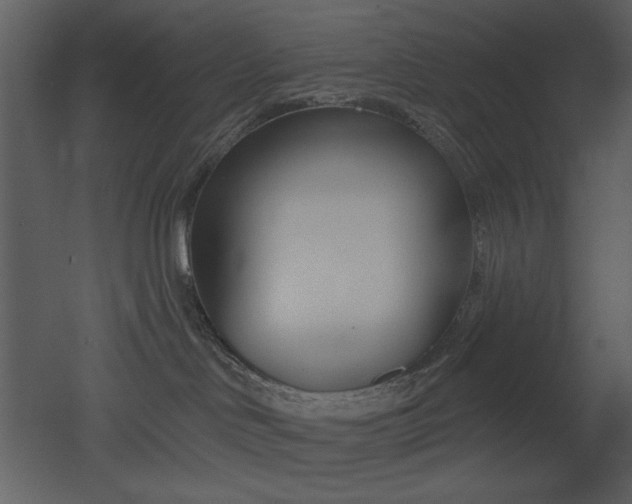 X0000053000046200507081245
