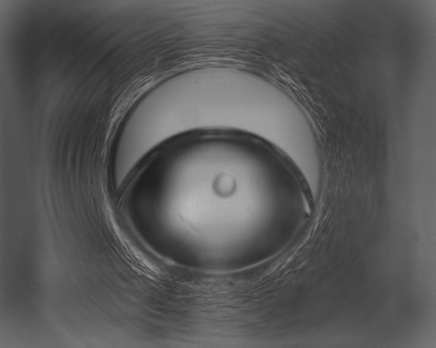 X0000053000049200507081244