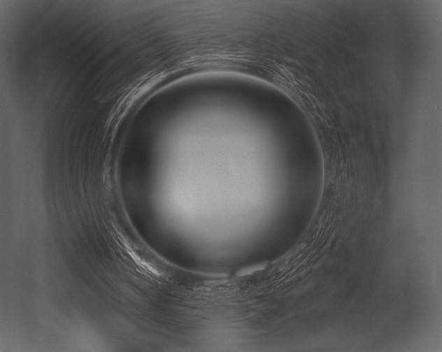 X0000053000050200507081244
