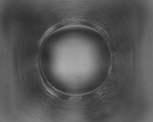 X0000053000051200507081244