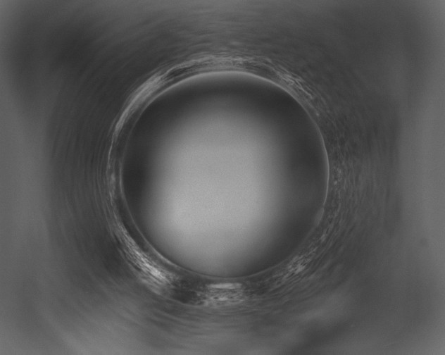 X0000053000053200507081244