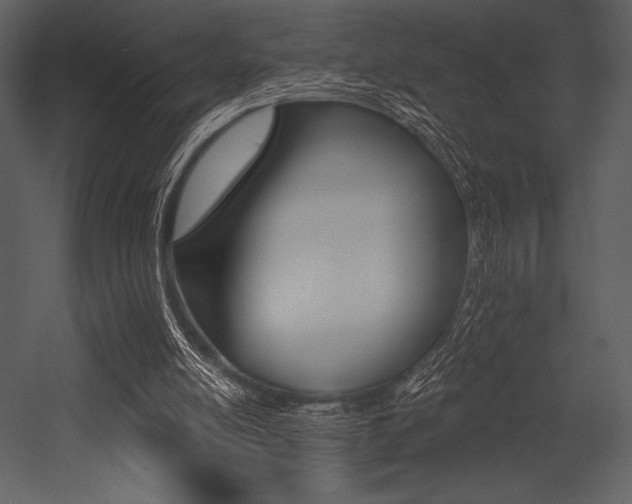 X0000053000054200507081244