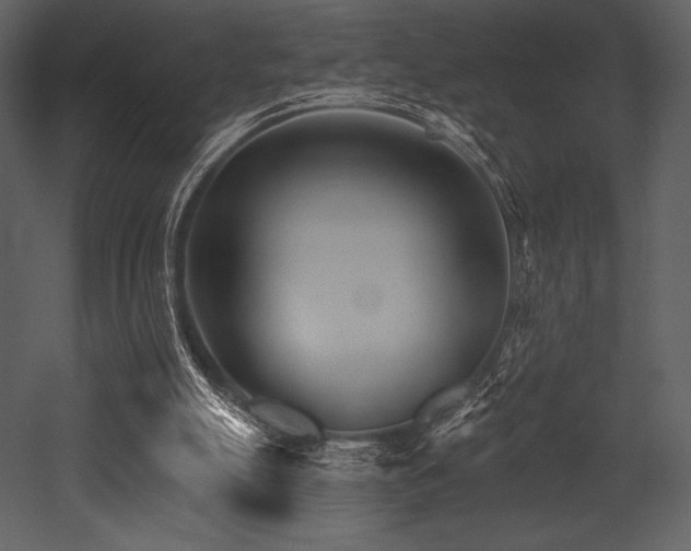 X0000053000055200507081244