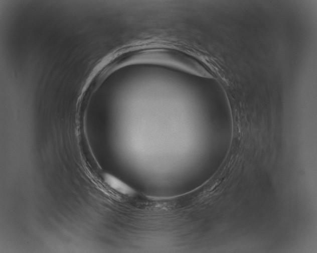 X0000053000056200507081244