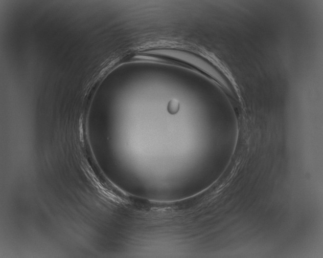 X0000053000057200507081244