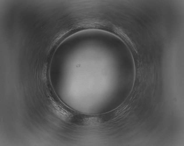 X0000053000058200507081244