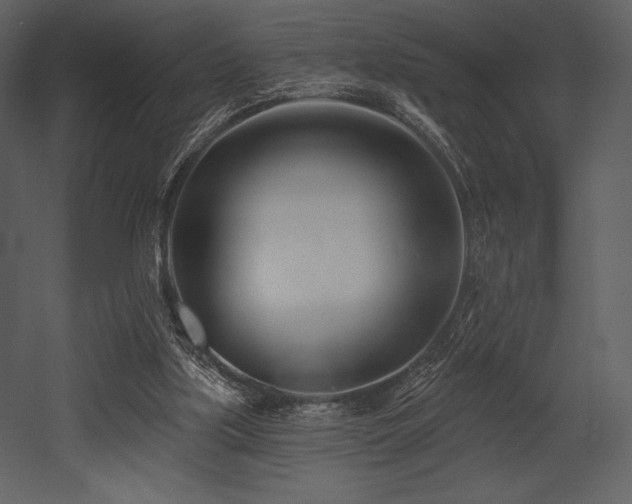 X0000053000059200507081244