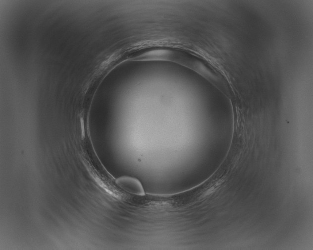 X0000053000061200507081244
