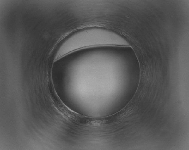 X0000053000064200507081244