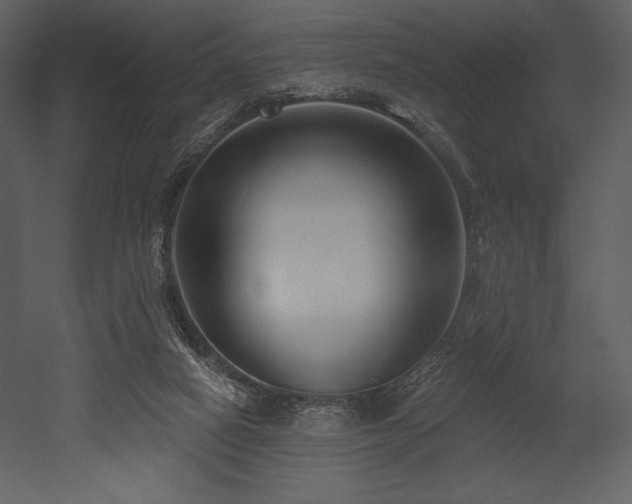X0000053000066200507081244