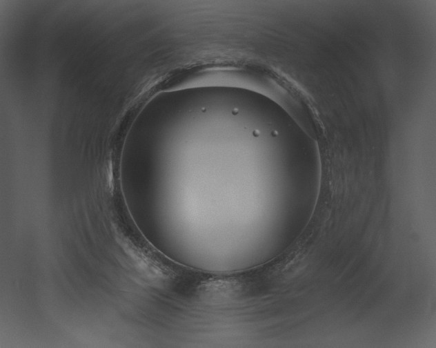 X0000053000067200507081244