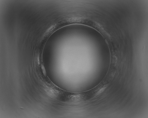 X0000053000068200507081244