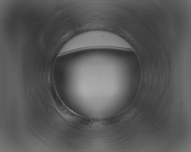 X0000053000072200507081244