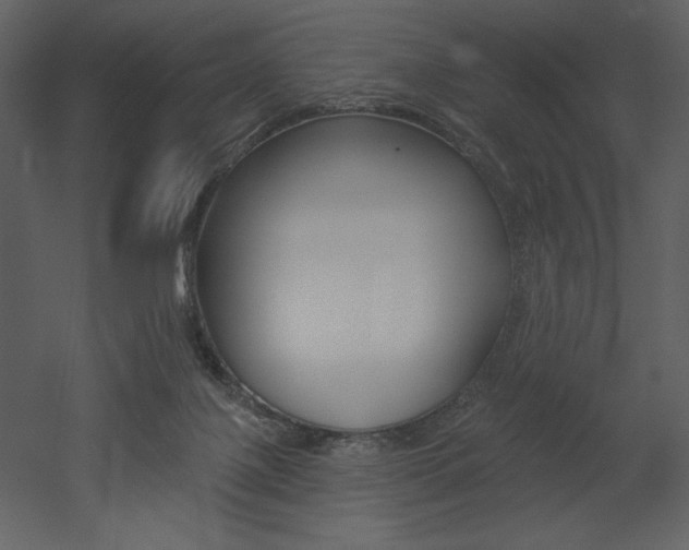 X0000053000075200507081244