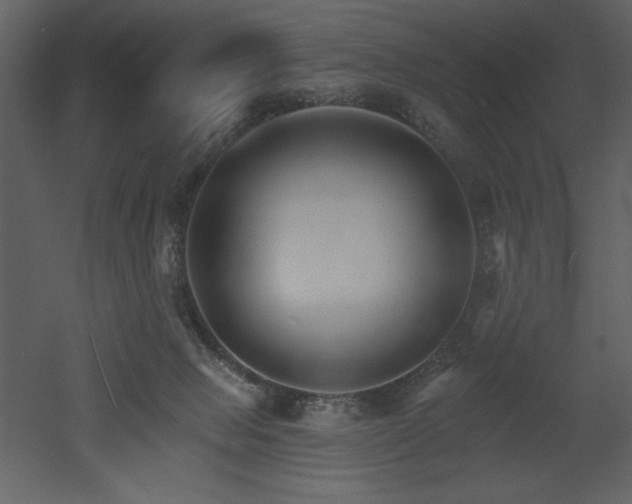 X0000053000077200507081244