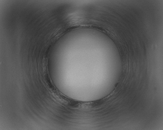 X0000053000078200507081244