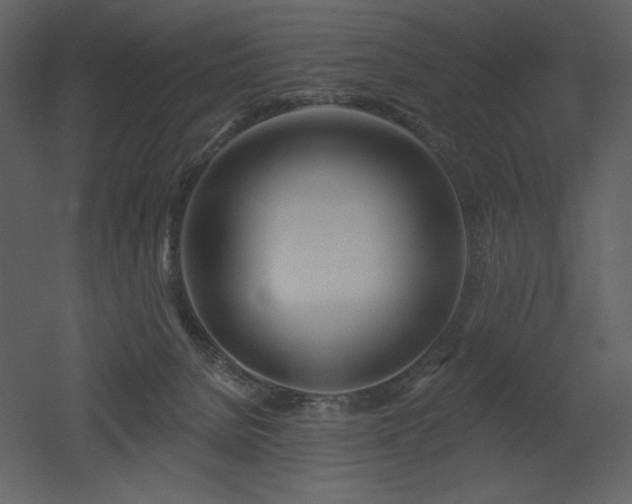 X0000053000080200507081244