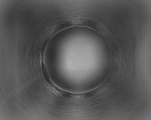 X0000053000081200507081244