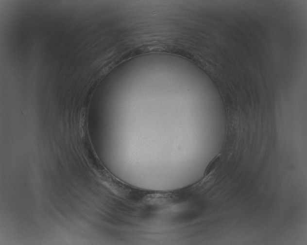 X0000053000082200507081244