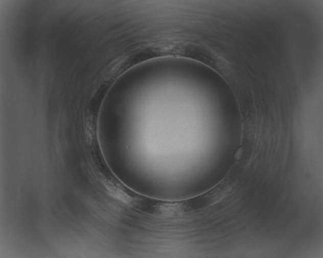 X0000053000085200507081244