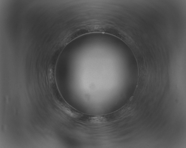 X0000053000087200507081244