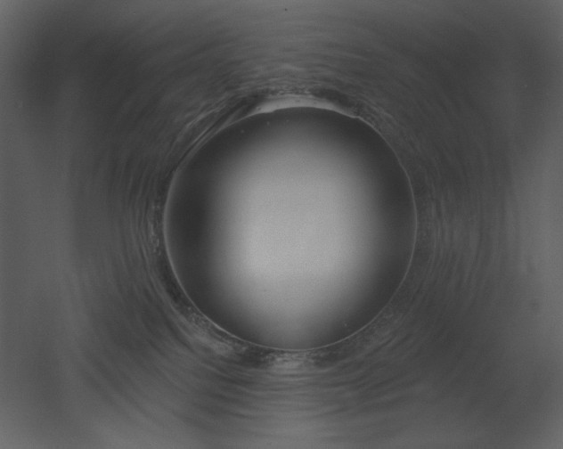X0000053000088200507081244