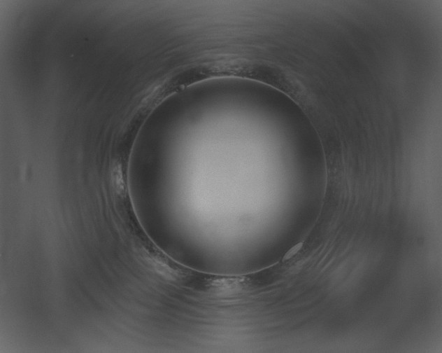 X0000053000089200507081244