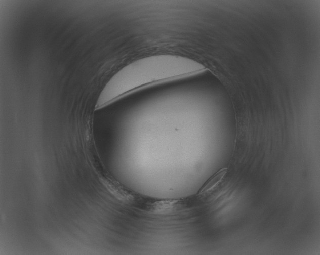 X0000053000090200507081244