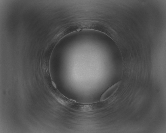 X0000053000091200507081244